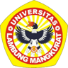 UNIVERSITAS LAMBUNG MANGKURAT